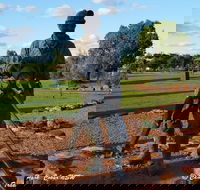 Cobar Miners Heritage Park - Accommodation Redcliffe