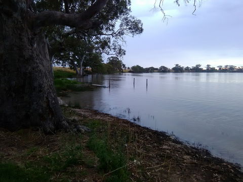 Cockatoo Lake Recreation Reserve - Accommodation Redcliffe 1
