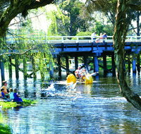 Denmark River - Accommodation Redcliffe