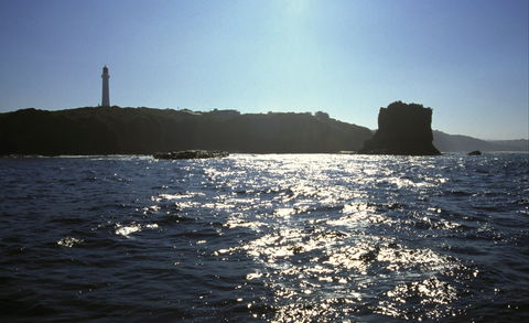 Eagle Rock Marine Sanctuary - Accommodation Redcliffe 2