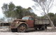 Emu Ridge Eucalyptus Pty Ltd - thumb 2