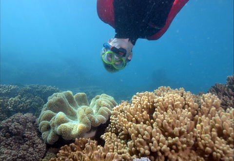 Geoffrey Bay Snorkel Trail - Accommodation Redcliffe 0