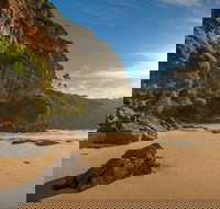 Greenglade picnic area - Accommodation Redcliffe