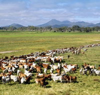Marlborough