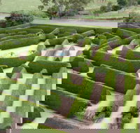 Mintaro Maze - Accommodation Redcliffe