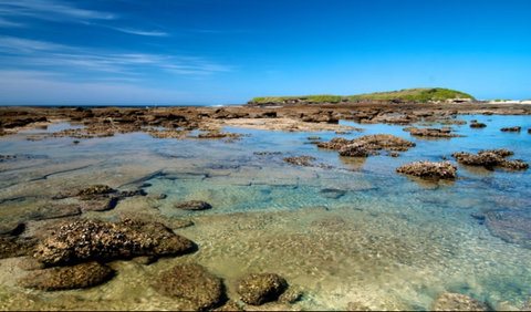 Moonee Beach Trail - Accommodation Redcliffe 0
