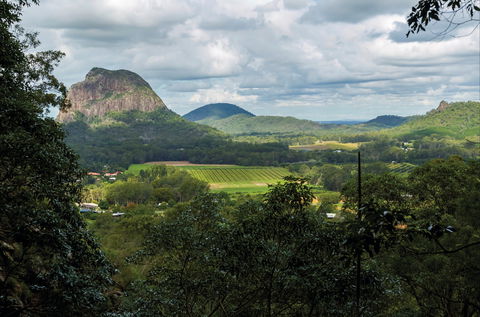 Mount Ngungun Summit Walking Track, Glass House Mountains National Park - Accommodation Redcliffe 1