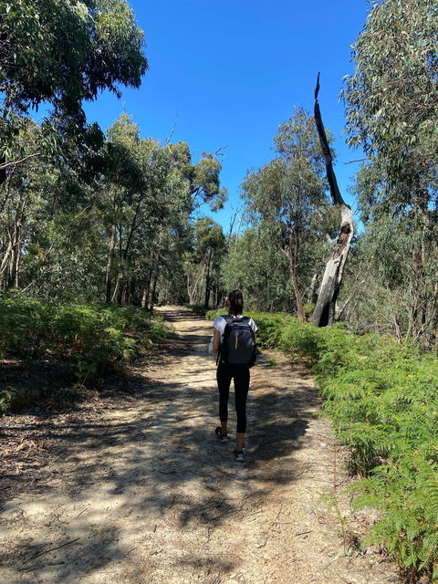 Mt Everard Circuit - Accommodation Redcliffe 0