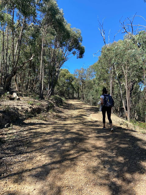 Mt Everard Circuit - Accommodation Redcliffe 2