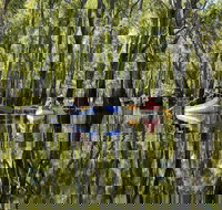 Murray River canoe trails