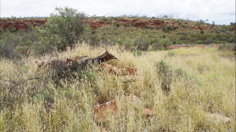 Original Glen Helen Homestead - Accommodation Redcliffe 1
