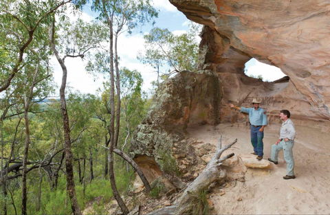 Pilliga National Park - Accommodation Redcliffe 0