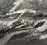 Pioneer Park - Accommodation Redcliffe