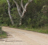 Riverview walking track - Accommodation Redcliffe