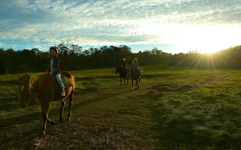 Scenic NSW Horse Riding Centre - Accommodation Redcliffe 0