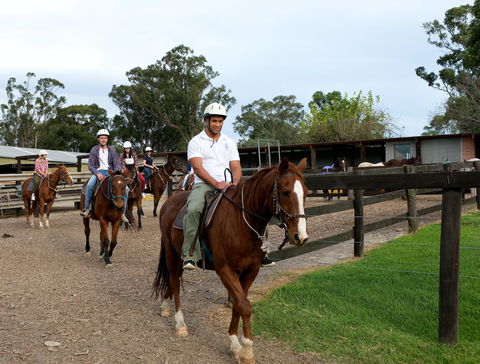 Scenic NSW Horse Riding Centre - Accommodation Redcliffe 1