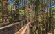 TreeTops Sydney The Hills - thumb 0