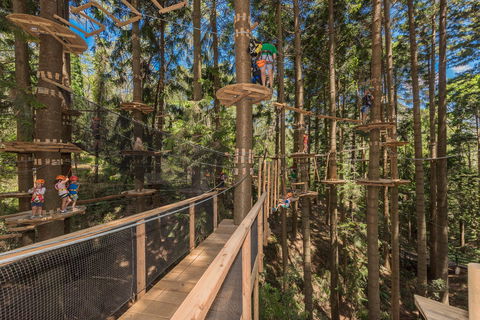 TreeTops Sydney The Hills - Accommodation Redcliffe 0