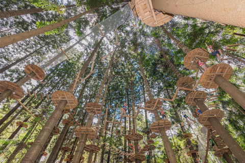 TreeTops Sydney The Hills - Accommodation Redcliffe 1