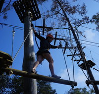 Trees Adventure Nowra Park - Accommodation Redcliffe
