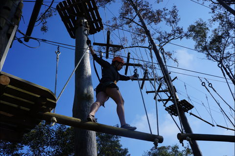 Trees Adventure Nowra Park - Accommodation Redcliffe 0