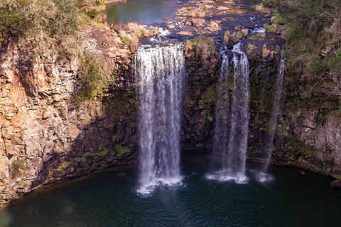 Rainforest & Waterfall Experience - Accommodation Redcliffe 1