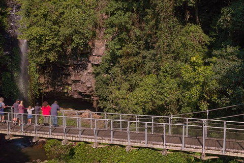 Rainforest & Waterfall Experience - Accommodation Redcliffe 4