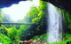 Rainforest & Waterfall Experience - thumb 6
