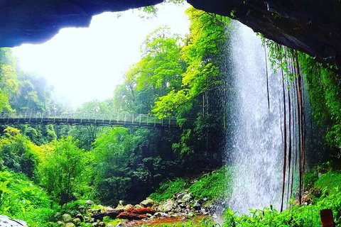 Rainforest & Waterfall Experience - Accommodation Redcliffe 6