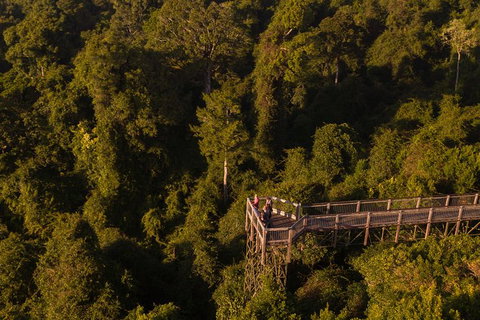 Rainforest & Waterfall Experience - Accommodation Redcliffe 5