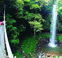 Rainforest  Waterfall Experience - Accommodation Redcliffe
