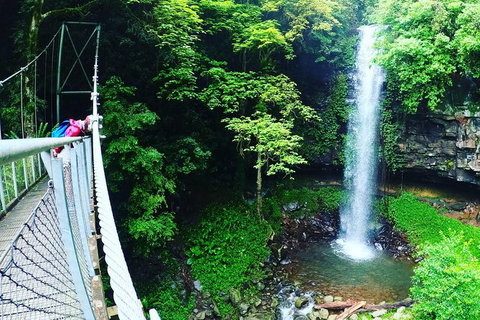 Rainforest & Waterfall Experience - Accommodation Redcliffe 0