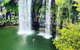 Rainforest & Waterfall Experience - thumb 2
