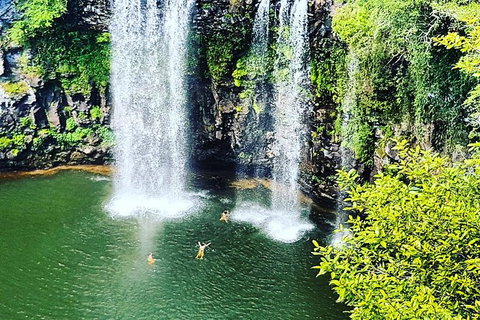 Rainforest & Waterfall Experience - Accommodation Redcliffe 2