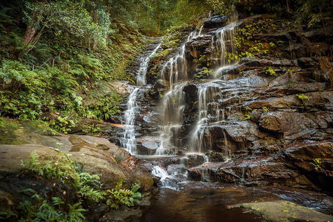 Ultimate Blue Mountains Waterfalls, Walks & Sunset PRIVATE Tour - Accommodation Redcliffe 10