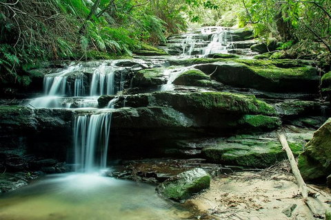 Ultimate Blue Mountains Waterfalls, Walks & Sunset PRIVATE Tour - Accommodation Redcliffe 2