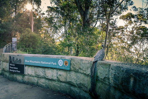 Ultimate Blue Mountains Waterfalls, Walks & Sunset PRIVATE Tour - Accommodation Redcliffe 8