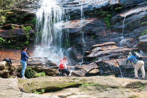 Ultimate Blue Mountains Waterfalls, Walks & Sunset PRIVATE Tour - Accommodation Redcliffe 11