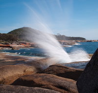 Bicheno Blowhole - Accommodation Redcliffe
