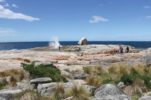 Bicheno Blowhole - Accommodation Redcliffe 1