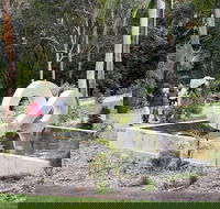 Maroochy Regional Bushland Botanic Garden - Accommodation Redcliffe