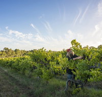 Mclaren Vale - Accommodation Redcliffe