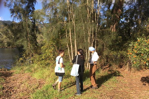Fishermans Paradise Eco-walk - Accommodation Redcliffe 1