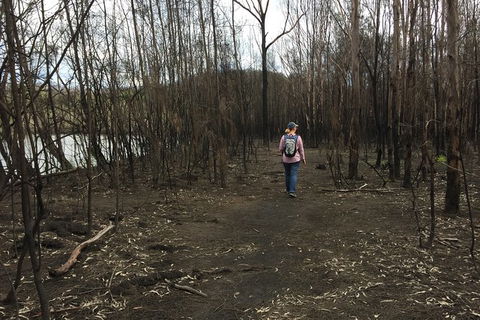 Fishermans Paradise Eco-walk - Accommodation Redcliffe 5