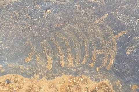 Aboriginal Rock Art - Accommodation Redcliffe 0