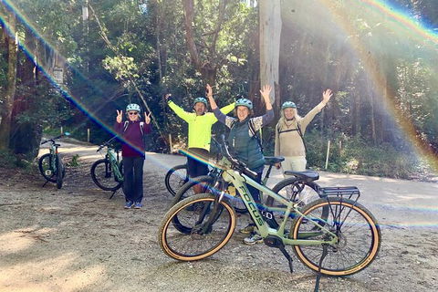 Guided E Bike Tour - Unicorn Falls & National Park - Accommodation Redcliffe 3
