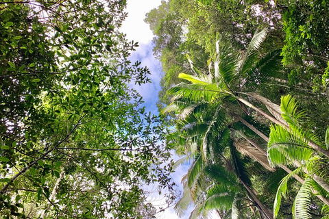 Guided E Bike Tour - Unicorn Falls & National Park - Accommodation Redcliffe 5