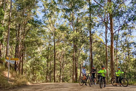 Guided E Bike Tour - Unicorn Falls & National Park - Accommodation Redcliffe 10