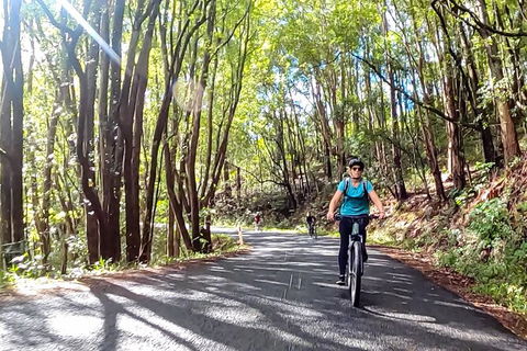 Guided E Bike Tour - Unicorn Falls & National Park - Accommodation Redcliffe 16