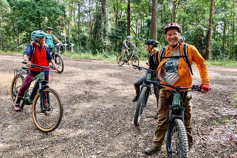 Guided E Bike Tour - Unicorn Falls & National Park - Accommodation Redcliffe 18